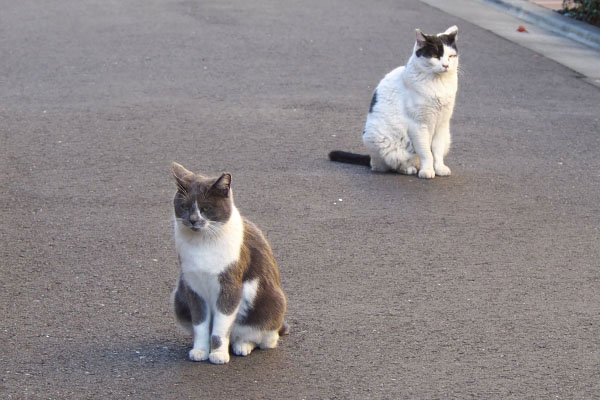 微妙な距離のふたり