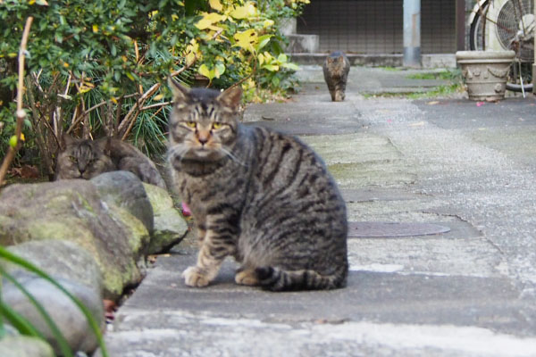 タビゾンヌ１手前タビワン