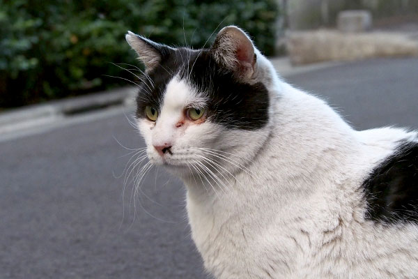 痛くないもんと我慢する坊