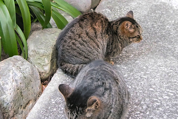 タビサンクとタビワン手前