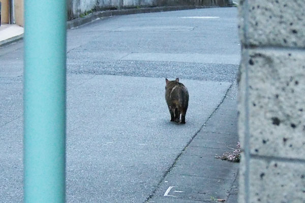 エビスお出掛け