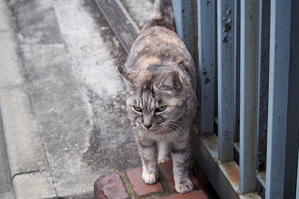 向かい側に居た銀ちゃん