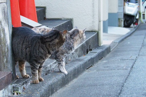 そっちにゃのとふたりで反対を見る