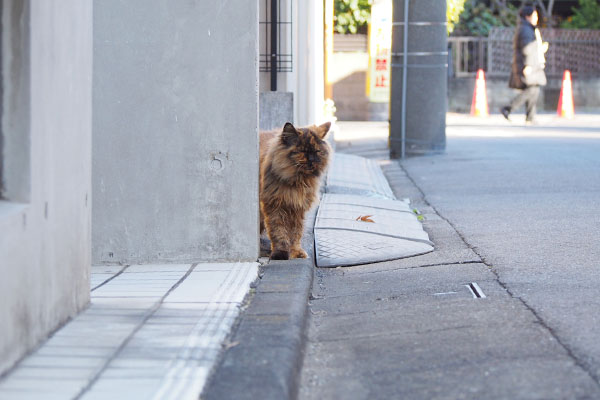 チイちゃん帰宅