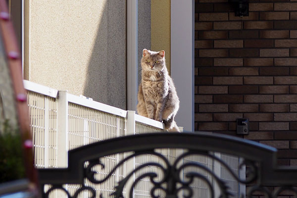 お洒落な佇まいのグリ