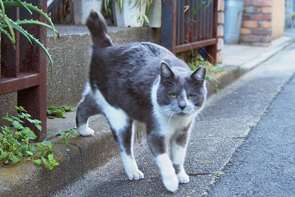 食べ終わったちび