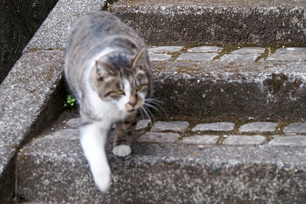 カラちゃんを見ながらブレ