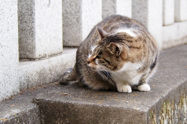 ちょっとー怒という雫