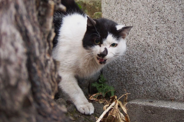 アタチの食べてるー