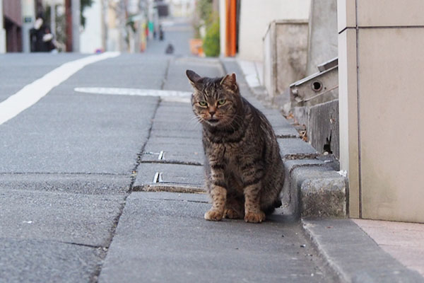 出迎えしてくれるタビッツ