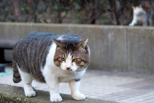 少し視線を外してデン