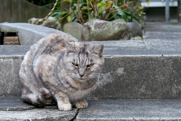 向きを変える銀