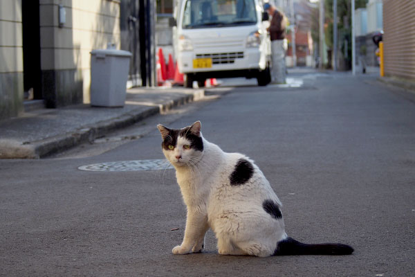 ピリピリムードの坊道路の真ん中