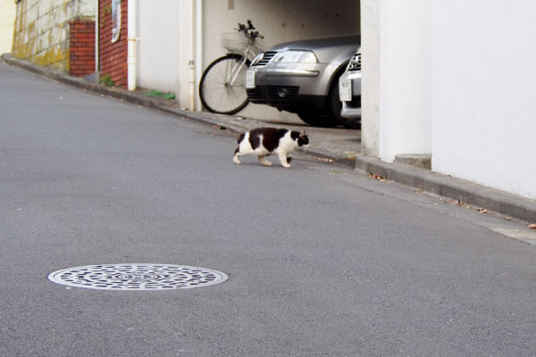 お世話宅から出て来たカル