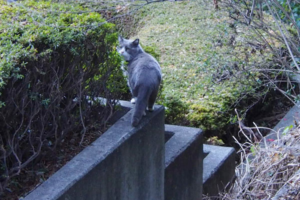 振り返るオットブレてる