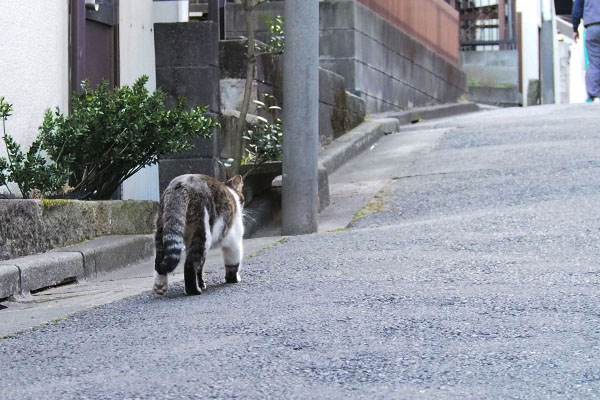 おいたーん