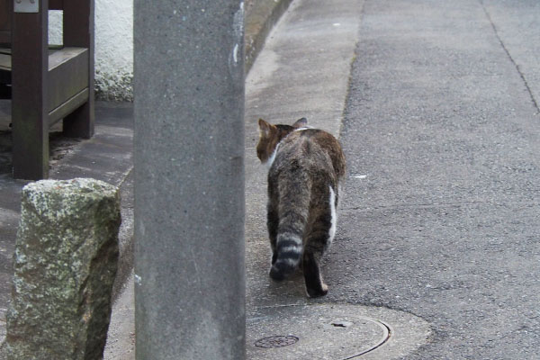 行先変更か