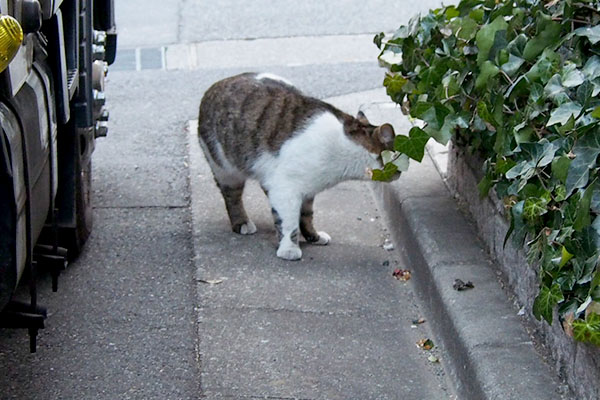 ここが目的地なのか