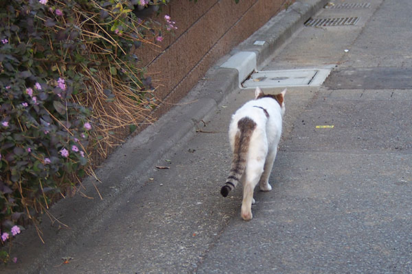 目の前をスルーするジェイ