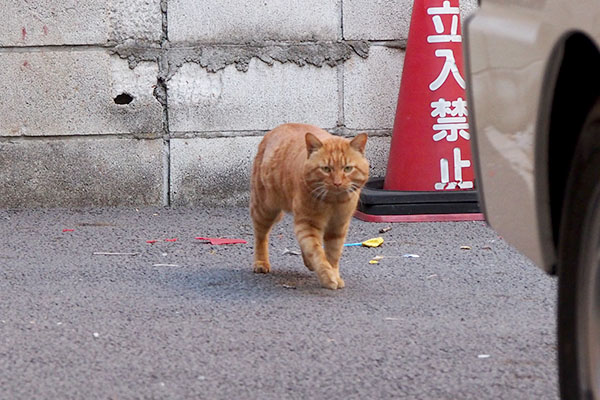 ボクがそちらへ