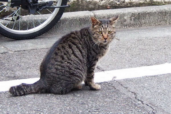 目の大きさも戻った