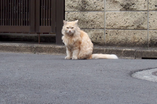 少し離れてこっちを見るナリコ