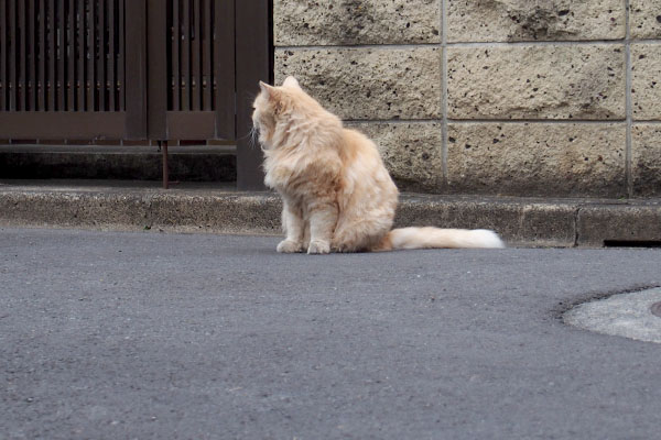 少し離れて左を見るナリコ