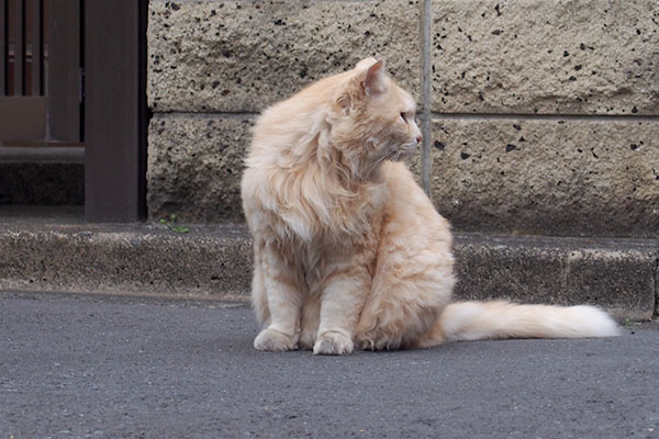 少しズームで右を見るナリコ