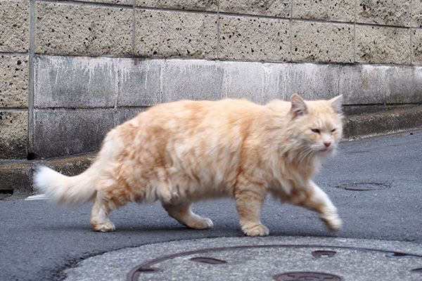 避けながら歩くナリコ