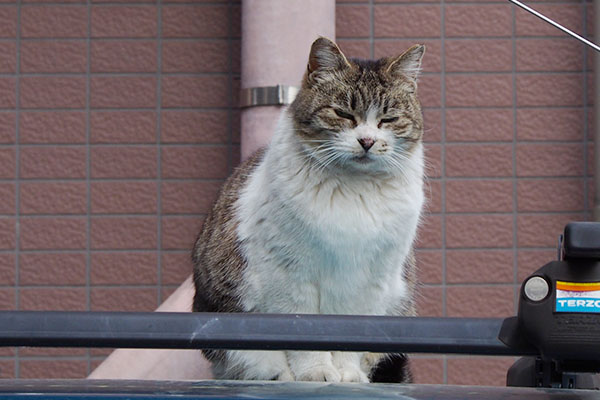 両目薄っすらあけてもも