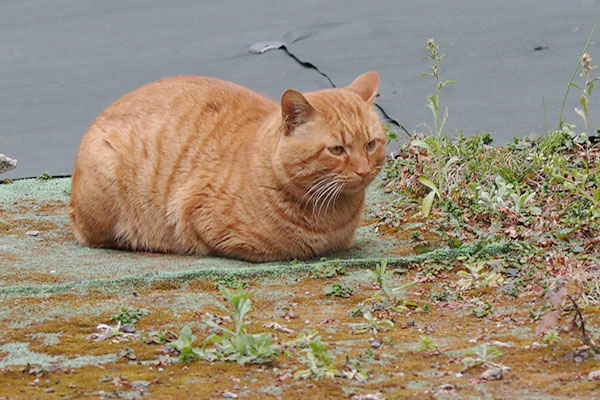 ハタと何かに気が付く