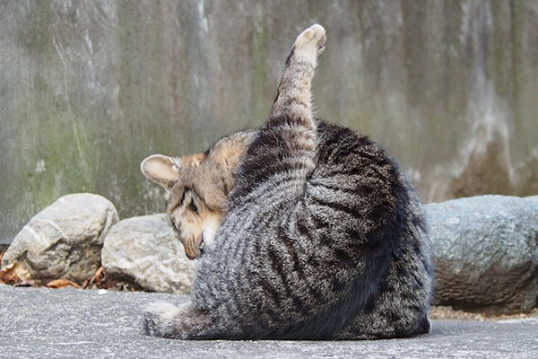 あんよピーンのタビワン