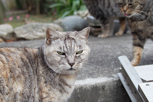 タビッツと振り返る銀