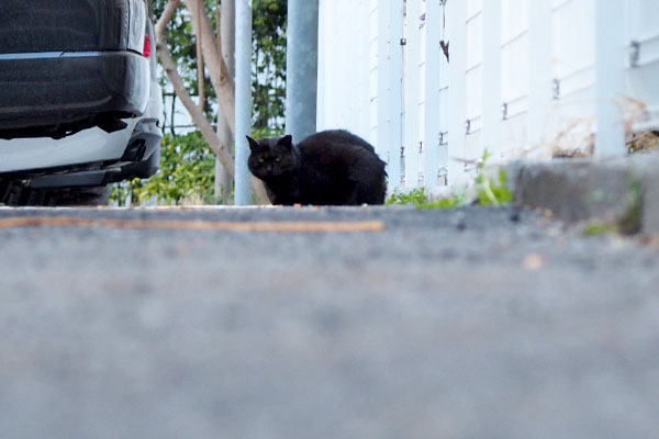 ミトンは駐車場側にちんまり