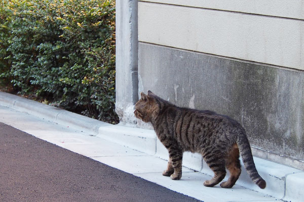 やってきたロキ大きな声で挨拶