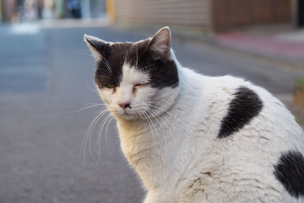 今誰かきたよねーな坊