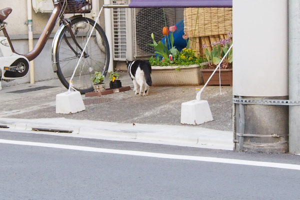 工場の隣にニコル