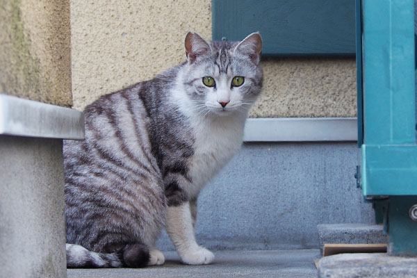 クロムお座り目線同じで