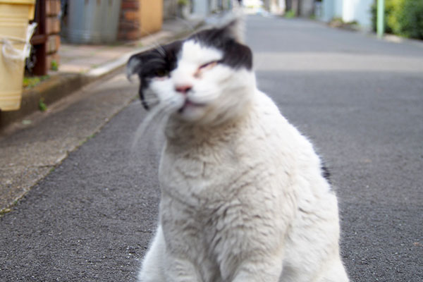 頭ぶるぶるん坊