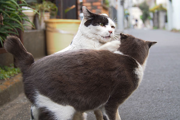 ちびをパンチする坊