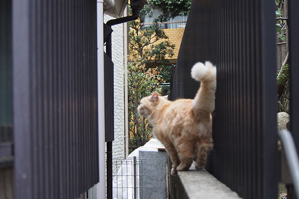 給湯器をめがけてナリコ