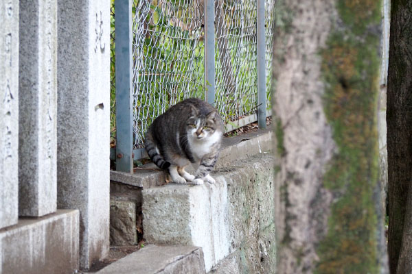 くるりと身を翻し雫