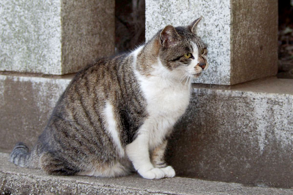 オヤツ食べ再びボラさんを待つ雫