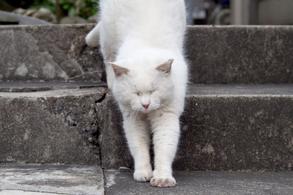 階段降りながら伸びハク