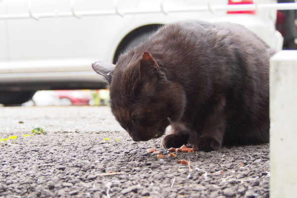 食べるミトン