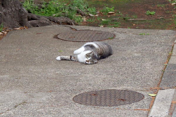 ひだり見てた？