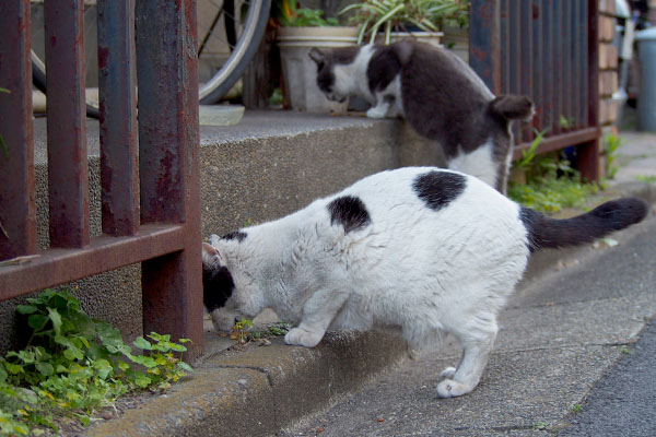 食べる兄と妹