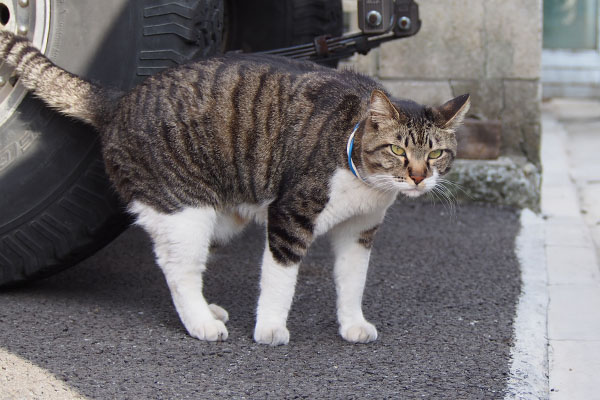 リオ起きたとこ