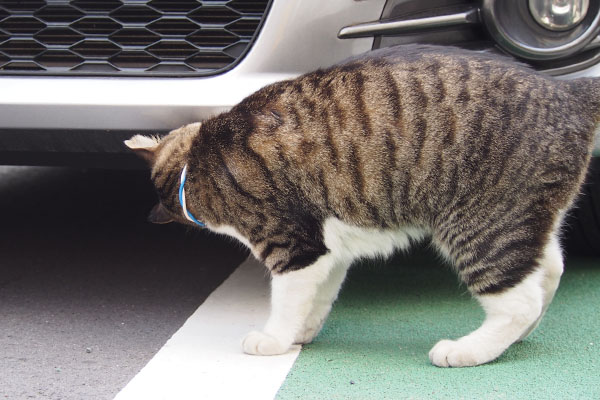 車クンクンリオ裏まで