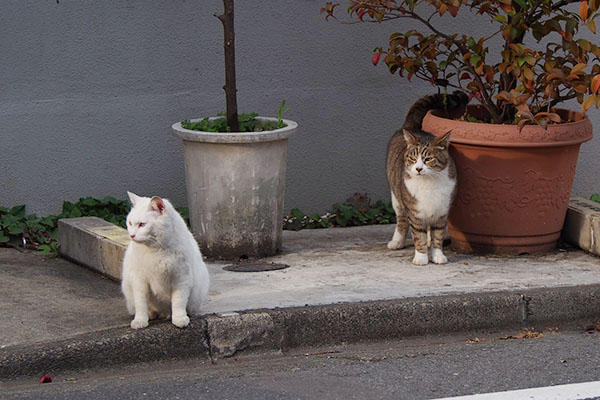 ふたりで左を見ている遠